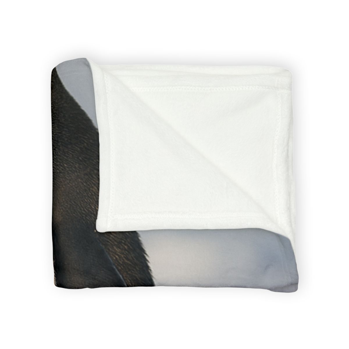 Aurora March Emperor Penguin warm winter blankets
