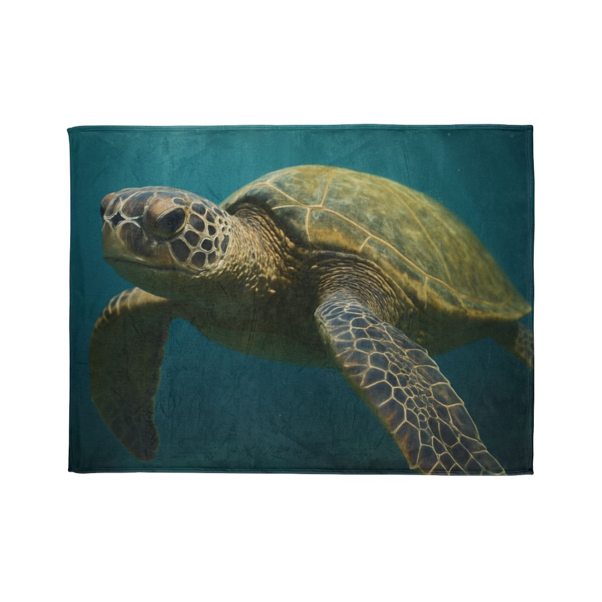 Glasswater Drift Green Sea Turtle warm winter blankets