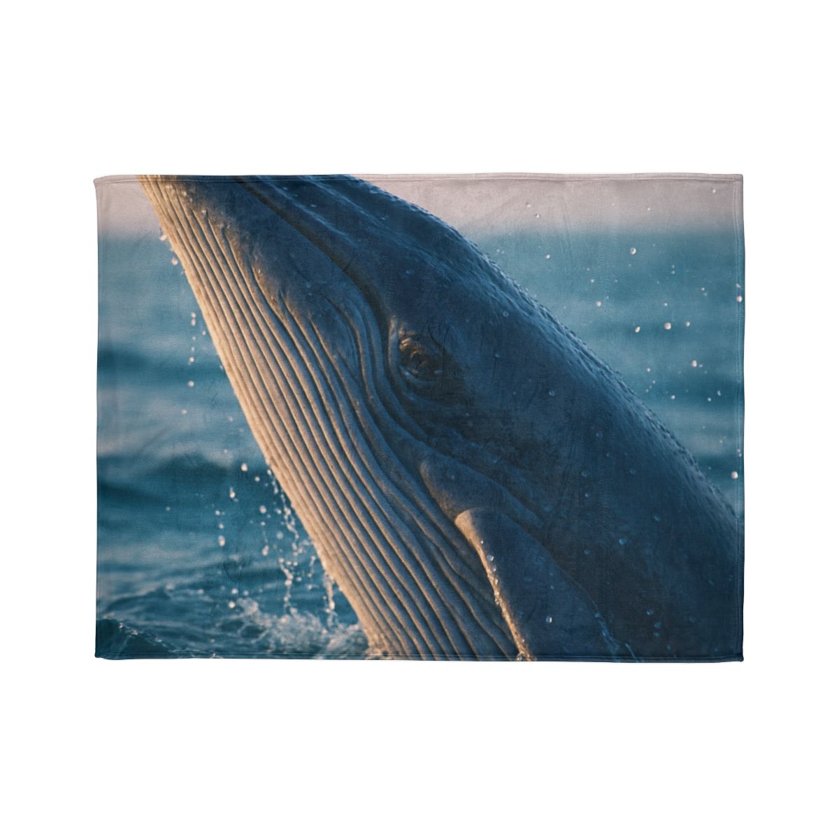 Ocean Song Blue Whale stylish throw blankets
