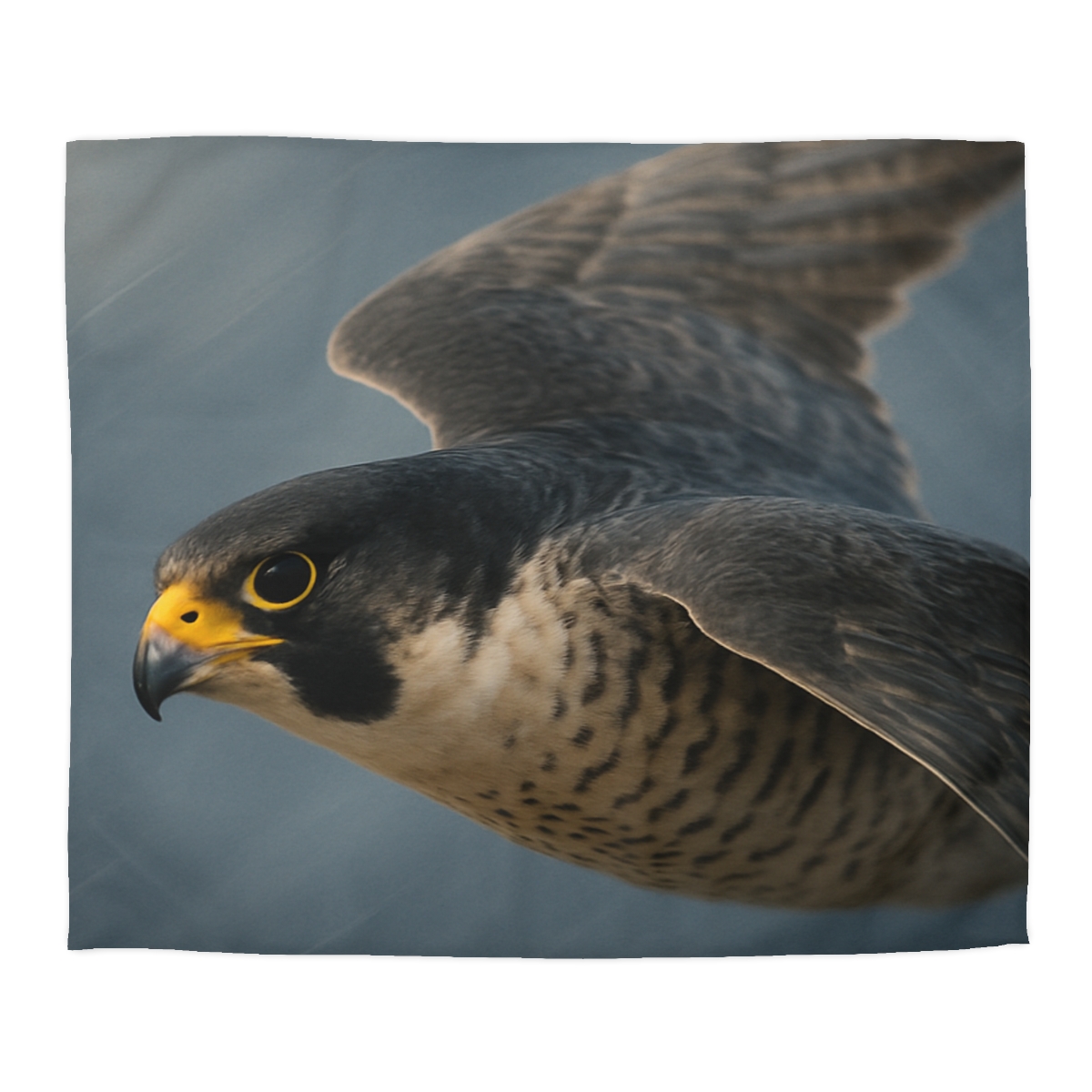 Comet Dive Peregrine Falcon soft comforter duvets