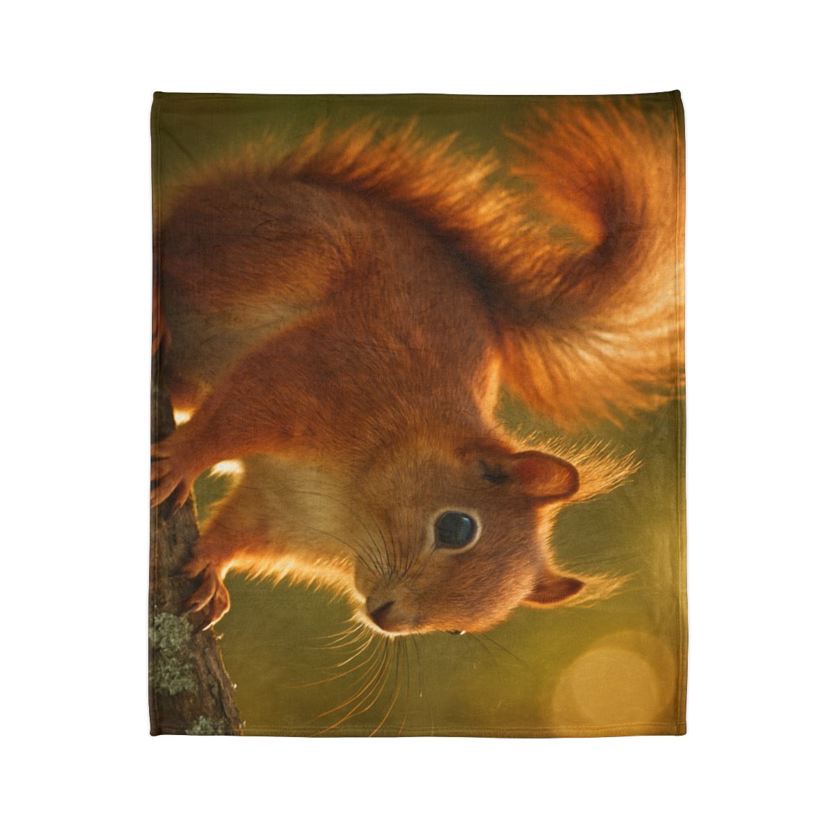 Sunrise Forager Red Squirrel decorative home blankets