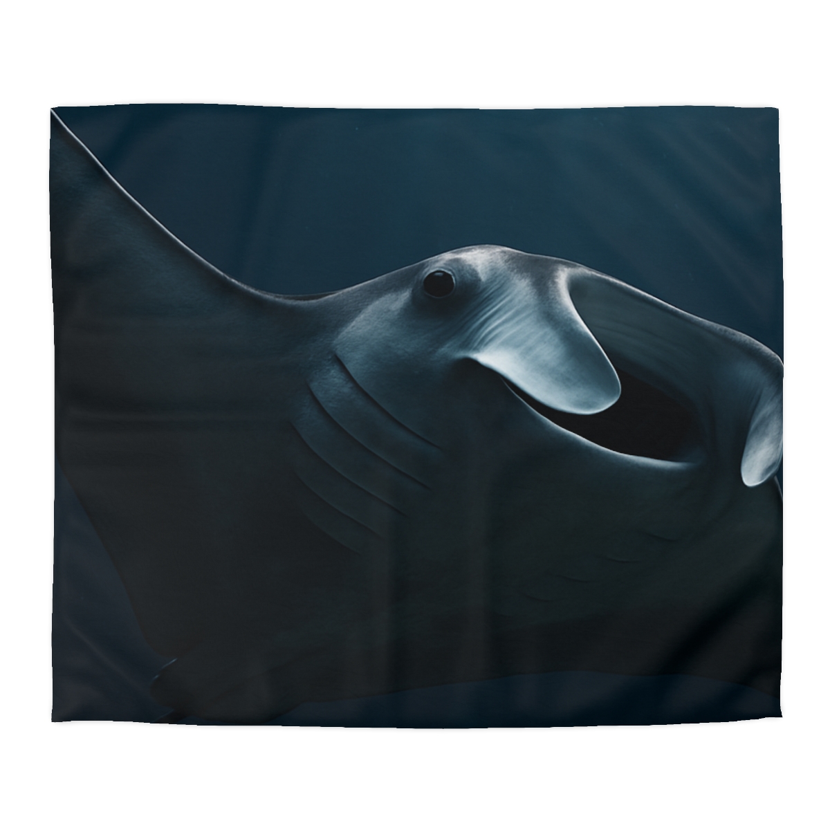 Lunar Current Manta Ray duvets for gifts