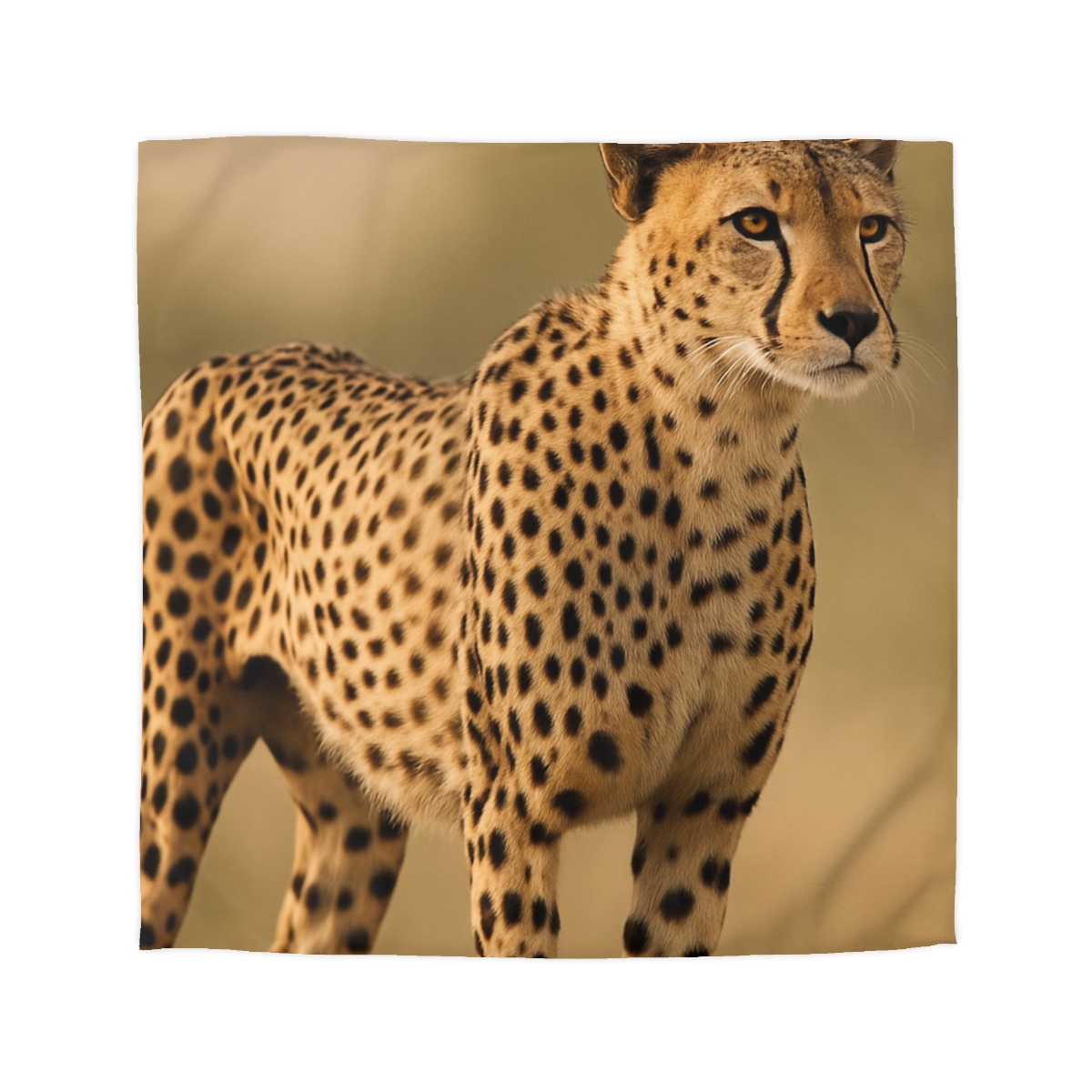 Wind Trace Cheetah personalized bedding duvets