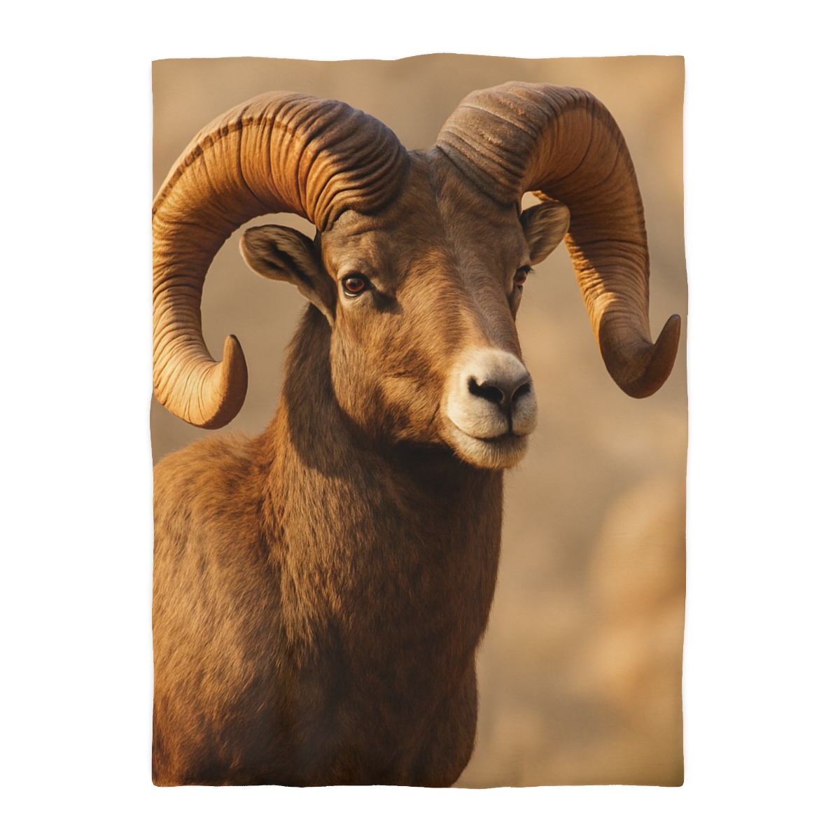 Canyon Echo Bighorn Sheep soft comforter duvets