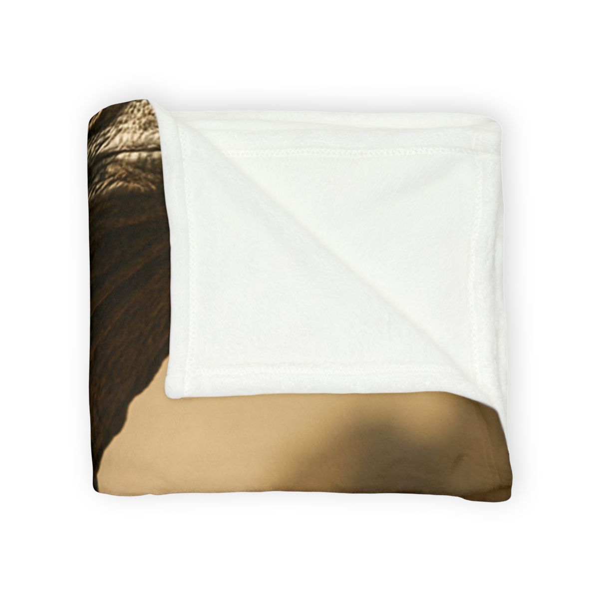 Ancient Sentinel Komodo Dragon designer printed blankets