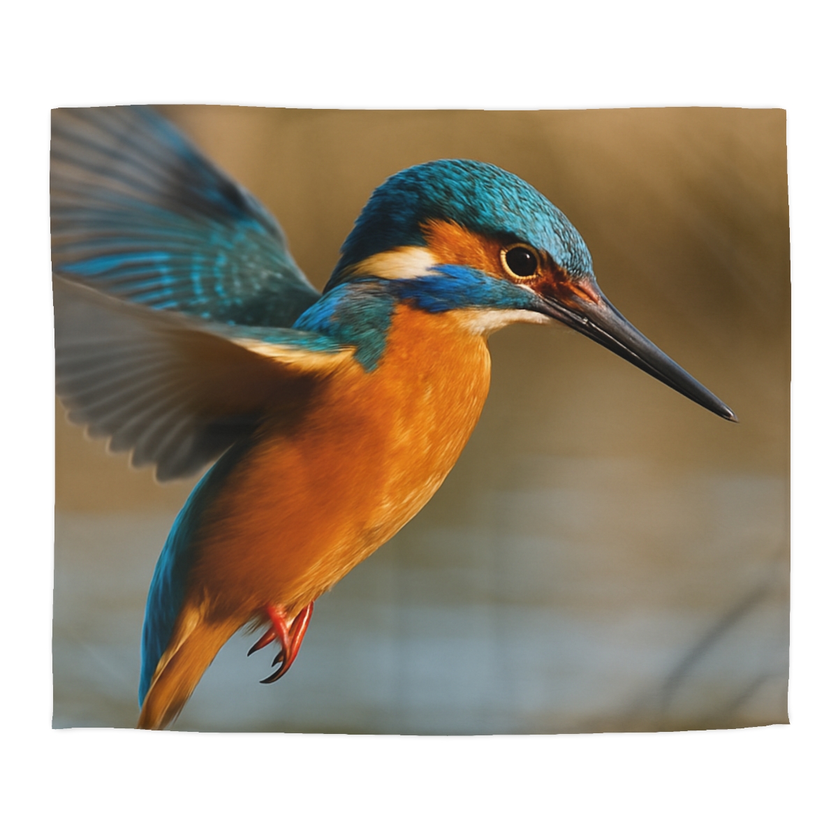 Sky Arrow Kingfisher duvets for gifts