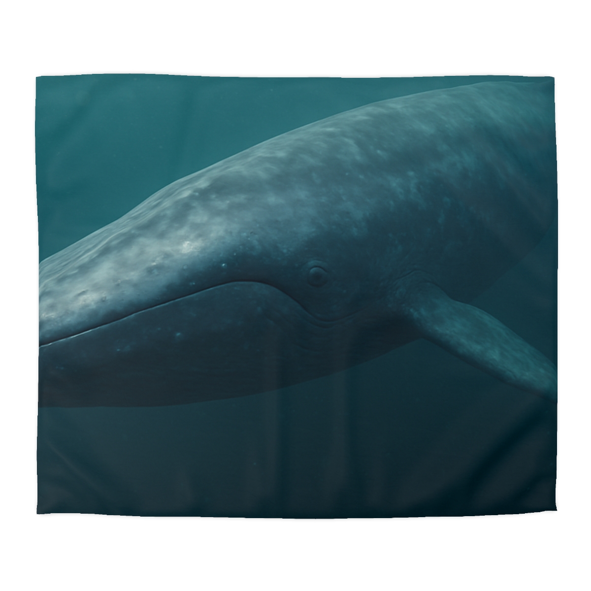 Ocean Song Blue Whale stylish duvet covers
