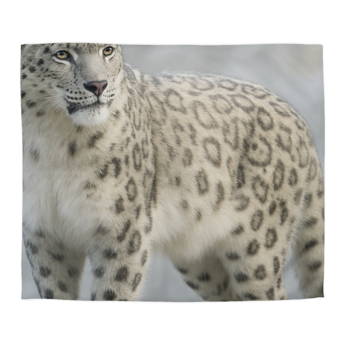 Snow Drift Hunter Snow Leopard soft comforter duvets