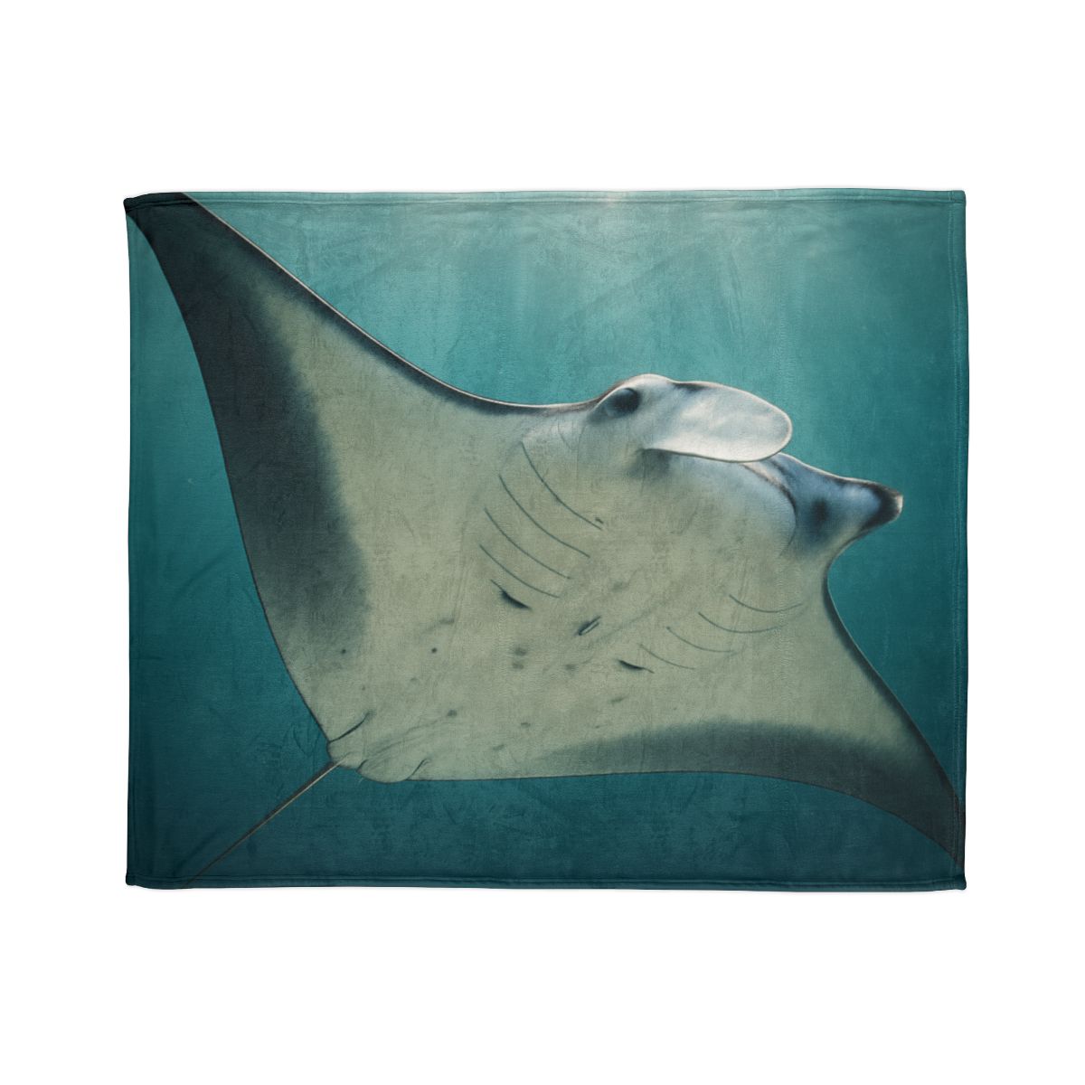 Celestial Glide Reef Manta Ray soft fleece blankets