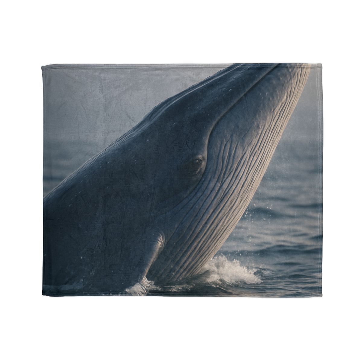 Ocean Song Blue Whale trendy patterned blankets