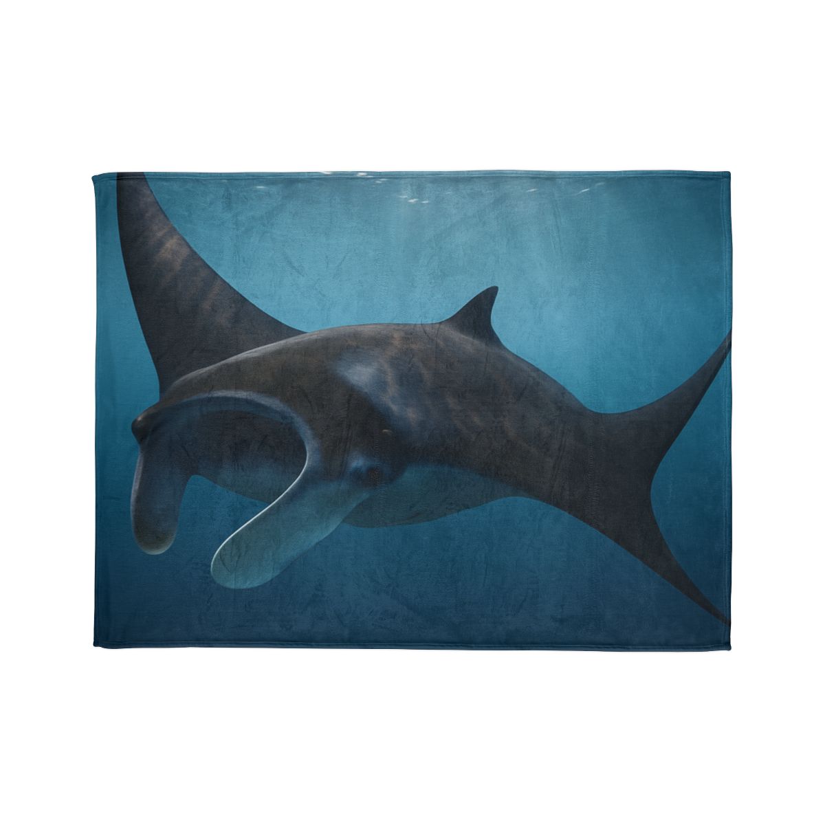 Sunlit Drift Manta Ray stylish throw blankets