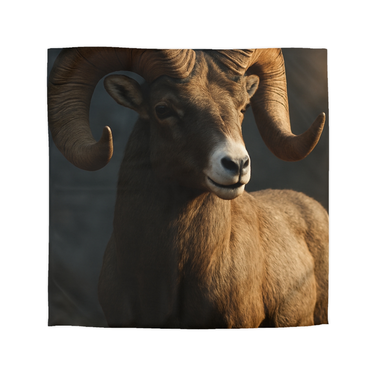 Canyon Shadow Bighorn Sheep duvets for gifts