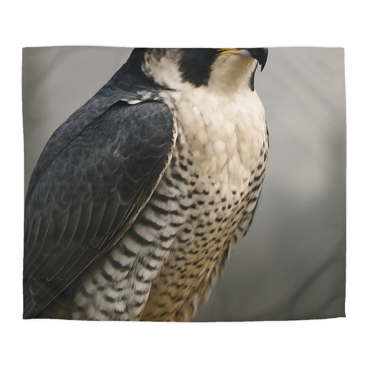 Starlit Vigil Peregrine Falcon personalized bedding duvets