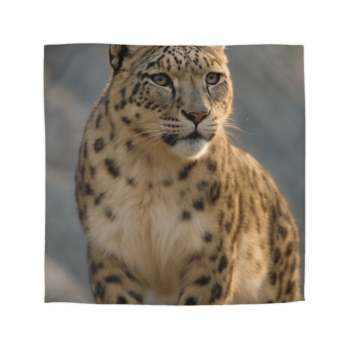 Cloud Crest Snow Leopard stylish duvet covers
