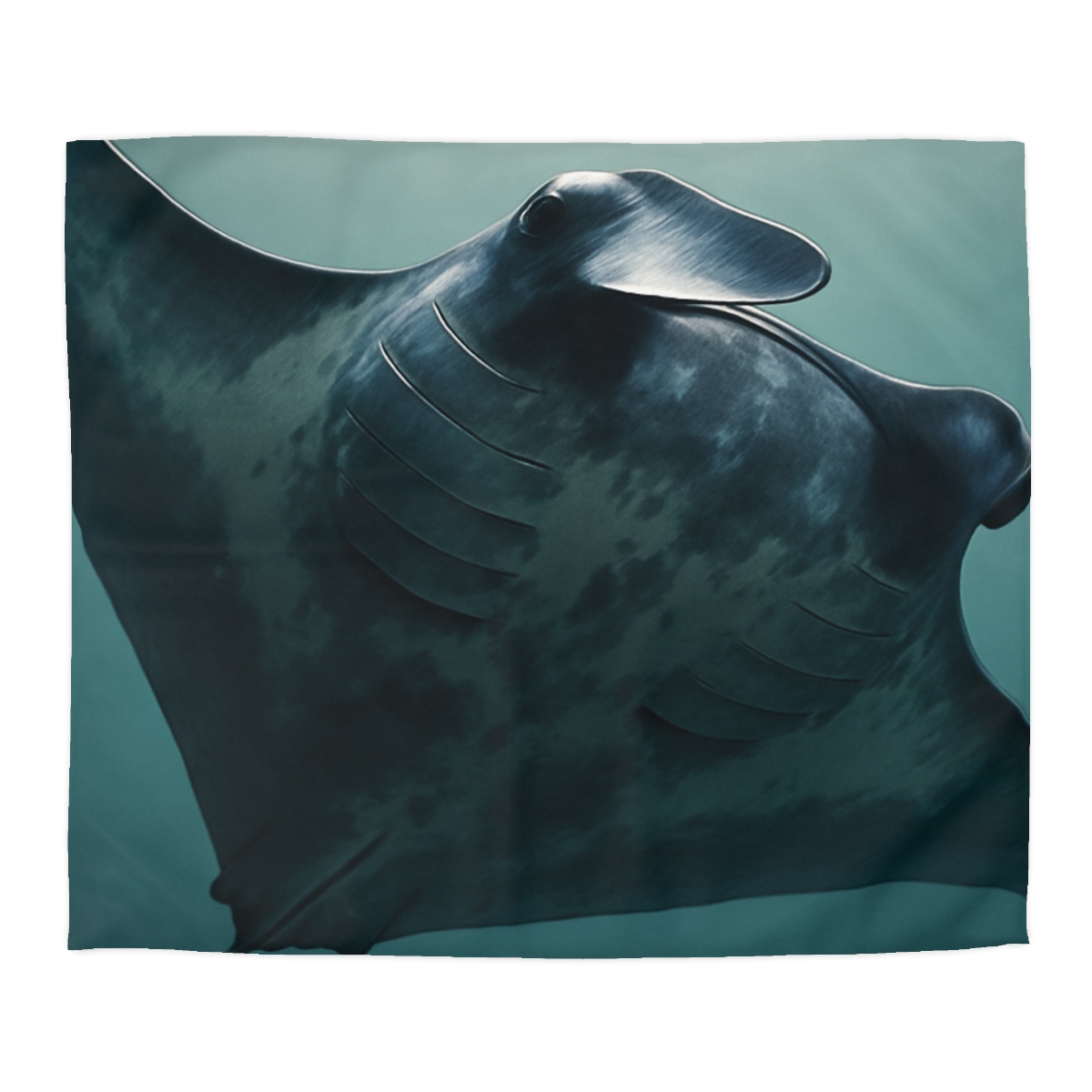 Nebula Glide Giant Manta Ray stylish duvet covers