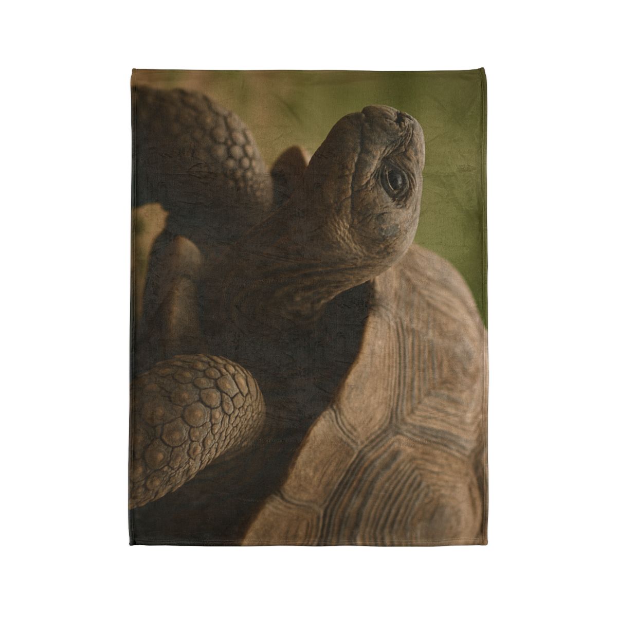 Giant Tortoise Timebound Gaze personalized cozy blankets