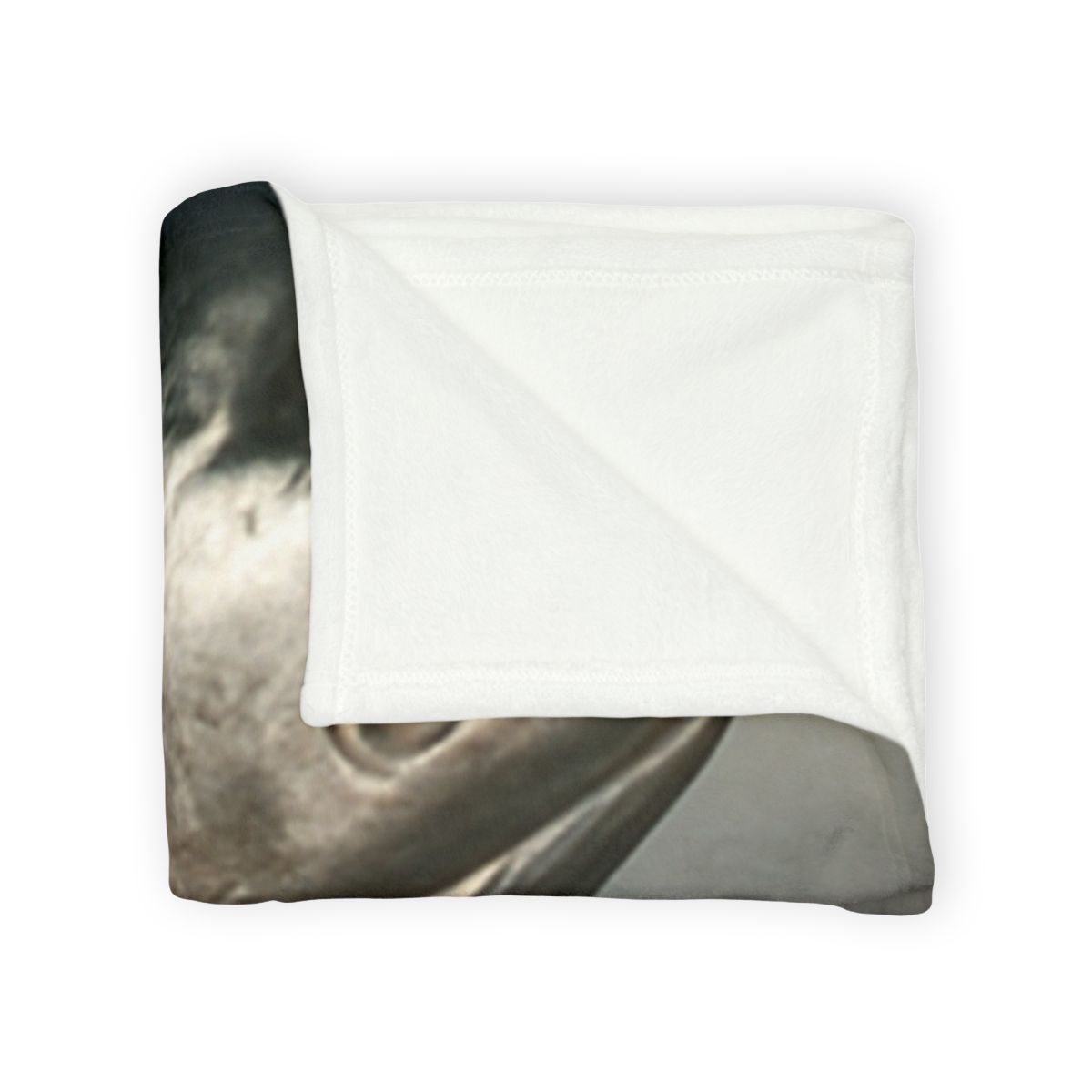 Silver Surge Chinook Salmon personalized cozy blankets