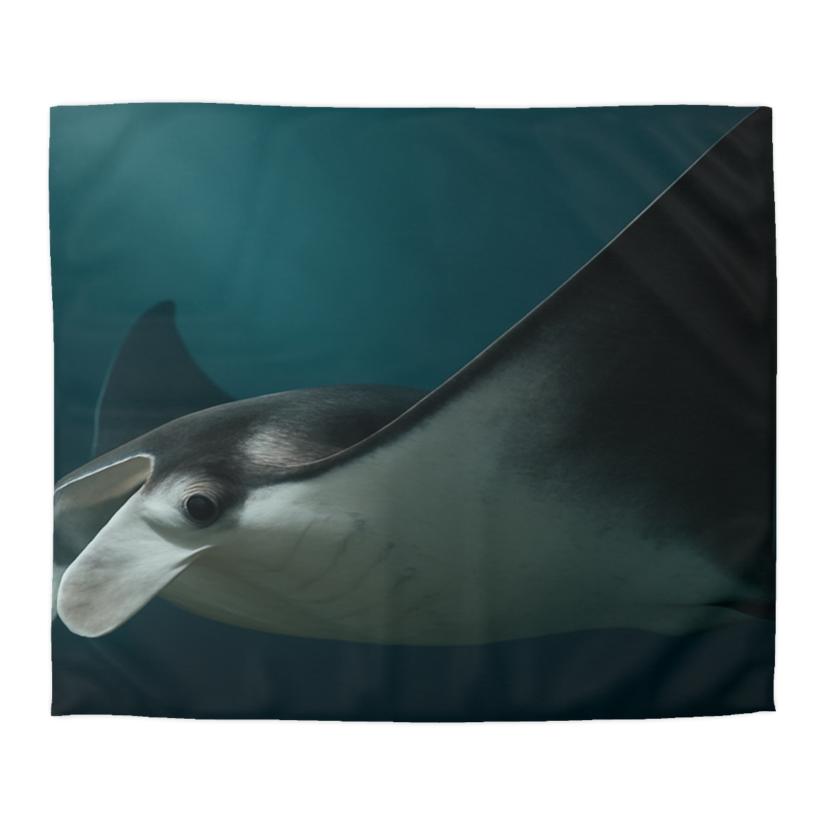 Starlit Glide Manta Ray stylish duvet covers