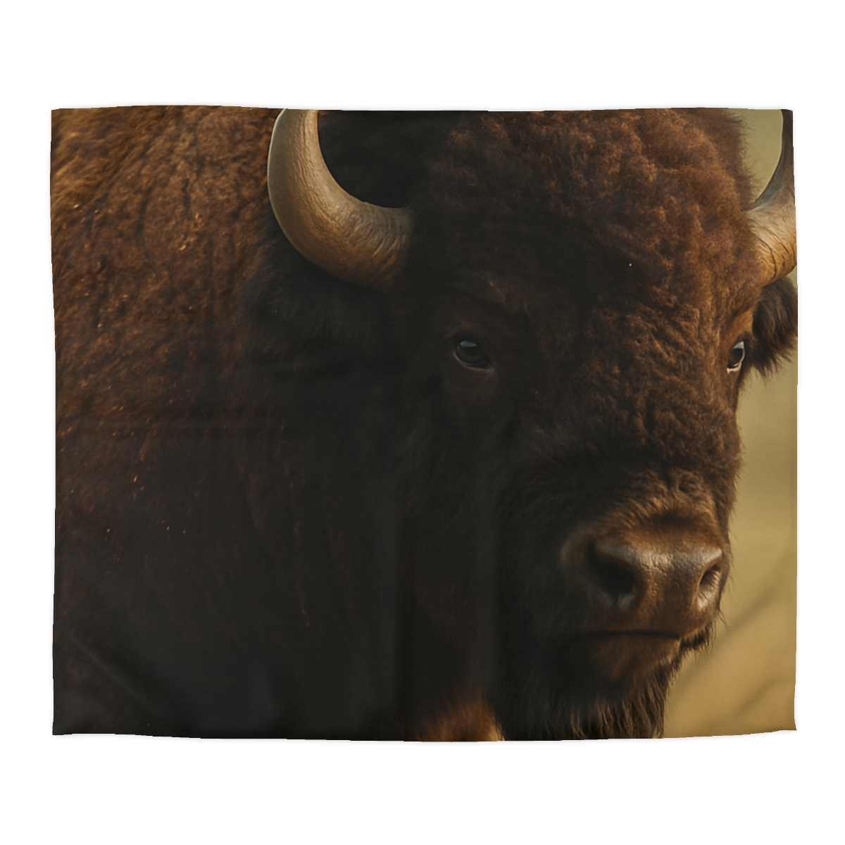 Thunder Stillness American Bison duvets for gifts
