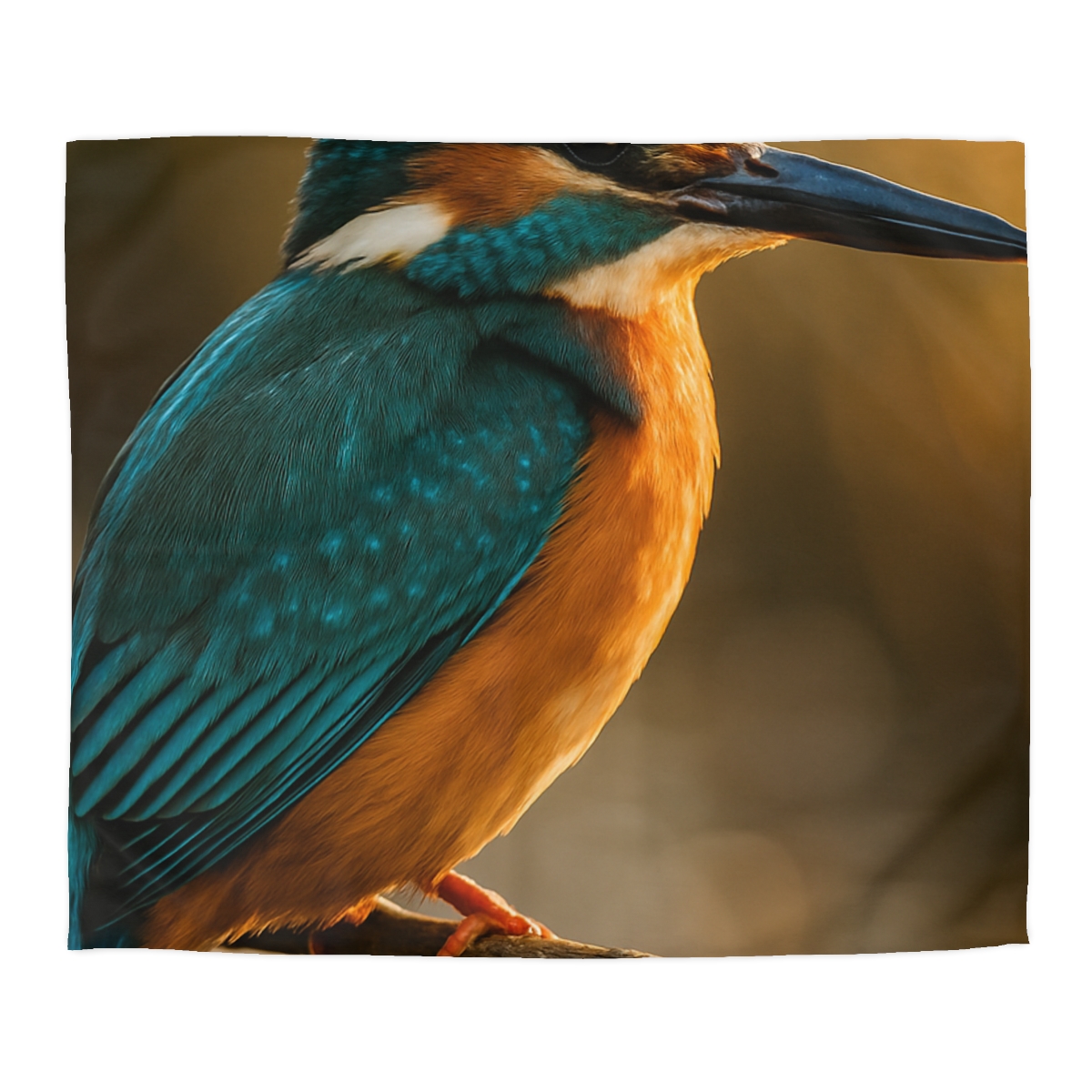 Emerald Glide Common Kingfisher personalized bedding duvets