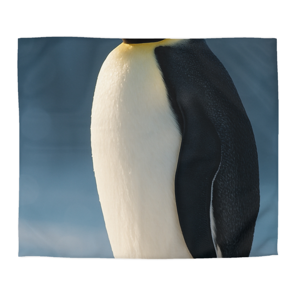 Aurora Drift Emperor Penguin custom duvets