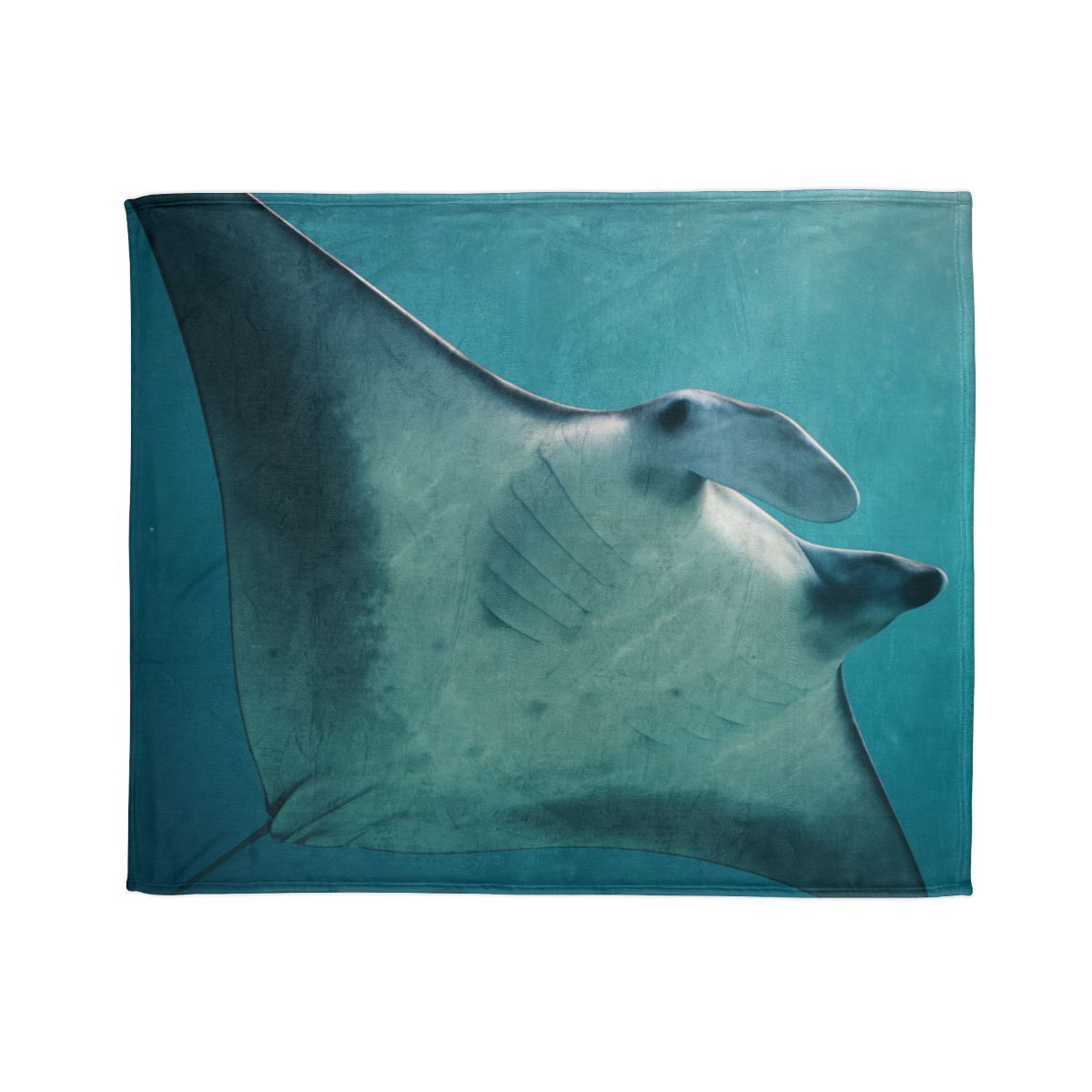 Silent Glide Manta Ray decorative home blankets