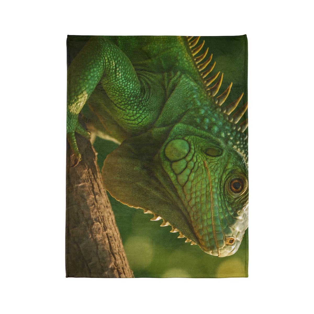 Sun Dappled Green Iguana stylish throw blankets