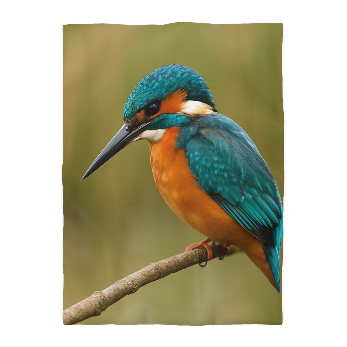 Azure Flash Kingfisher duvets for gifts