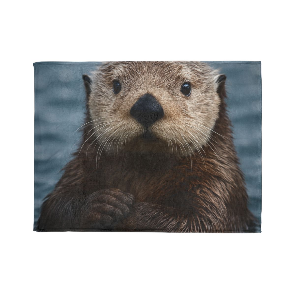 Mirror Drift Sea Otter decorative home blankets