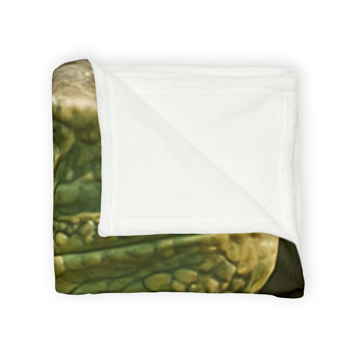 Sunlit Perch Green Iguana warm winter blankets