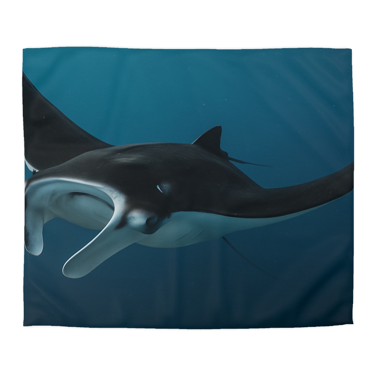 Midwater Dancer Manta Ray personalized bedding duvets