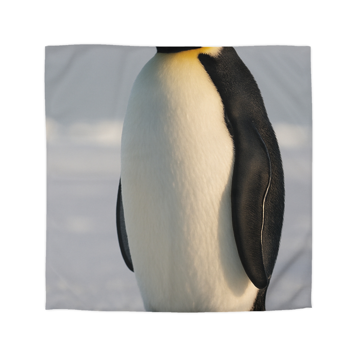 Aurora March Emperor Penguin stylish duvet covers