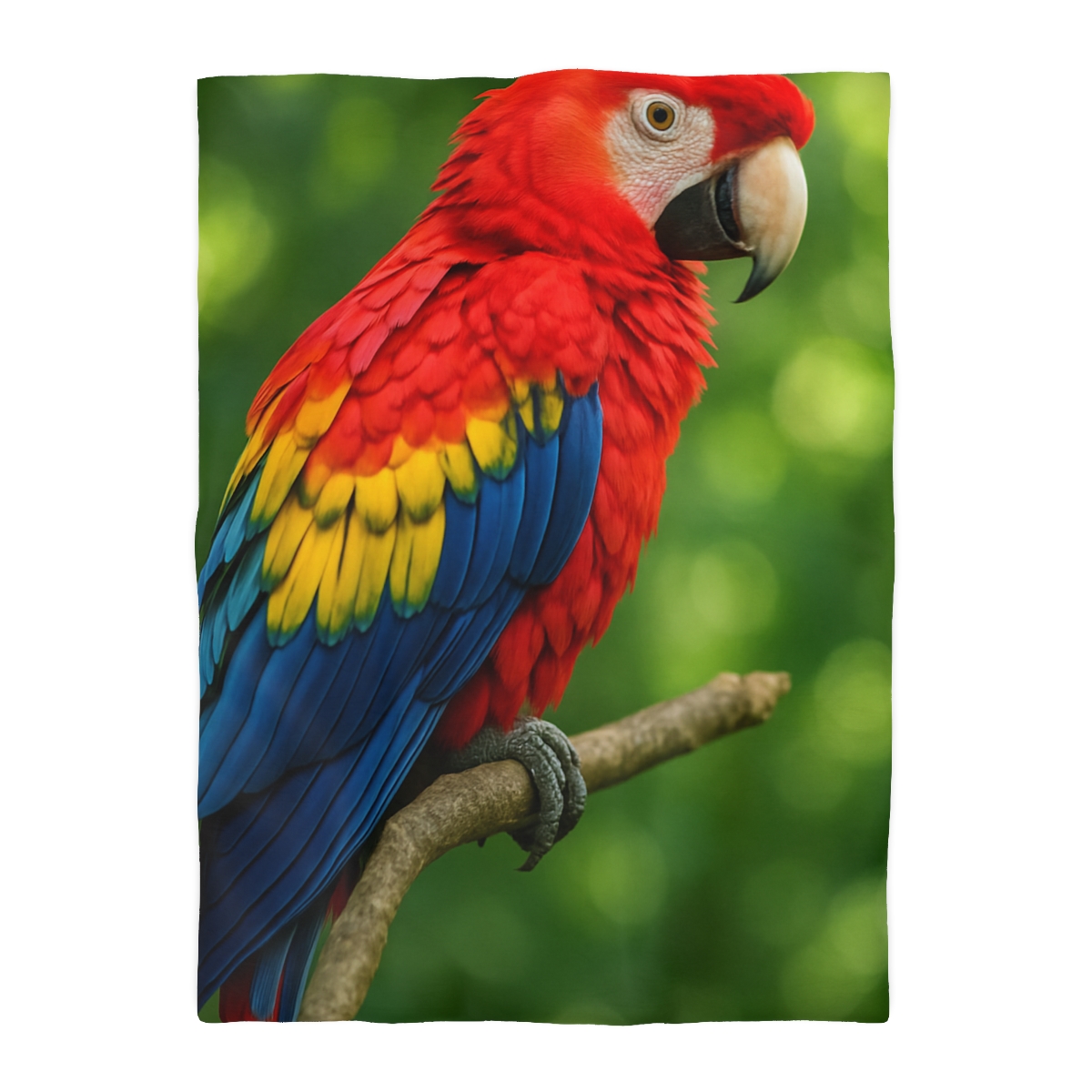 Color Storm Scarlet Macaw trendy bedroom duvets