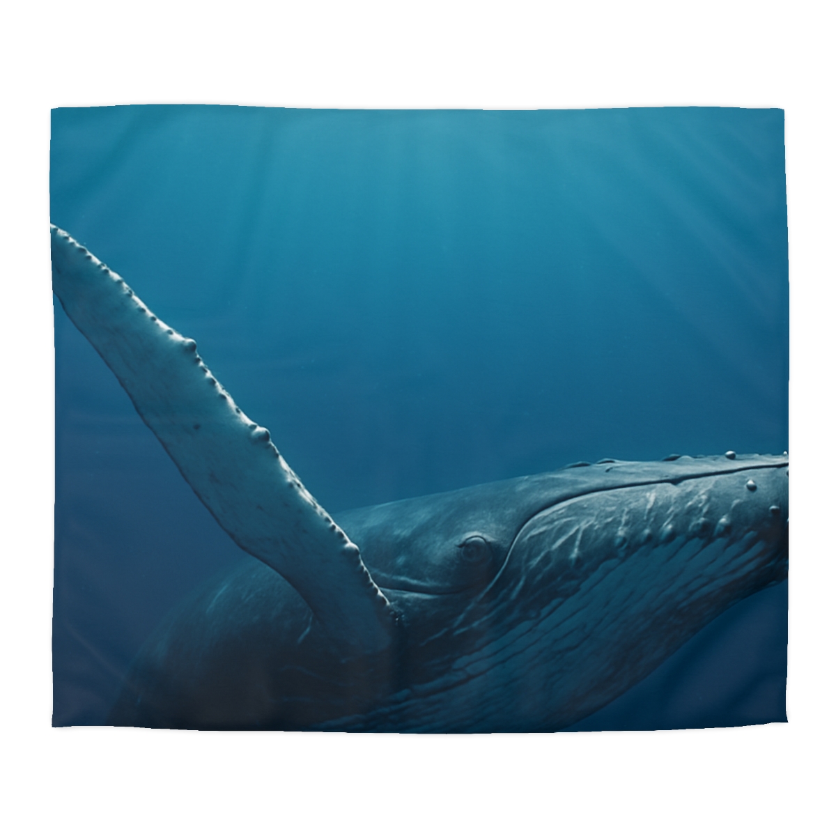 Nebula Dive Humpback Whale unique patterned duvets