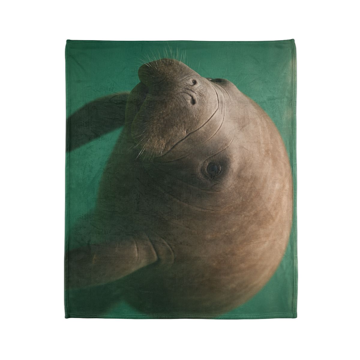 Glasswater Drifter West Indian Manatee stylish throw blankets