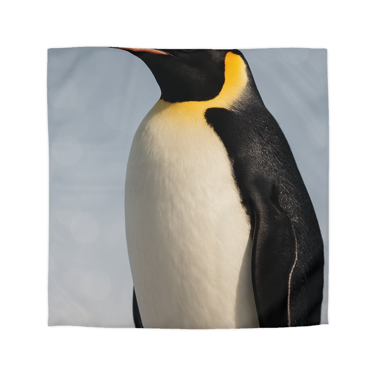 Aurora Drift Emperor Penguin warm winter duvets