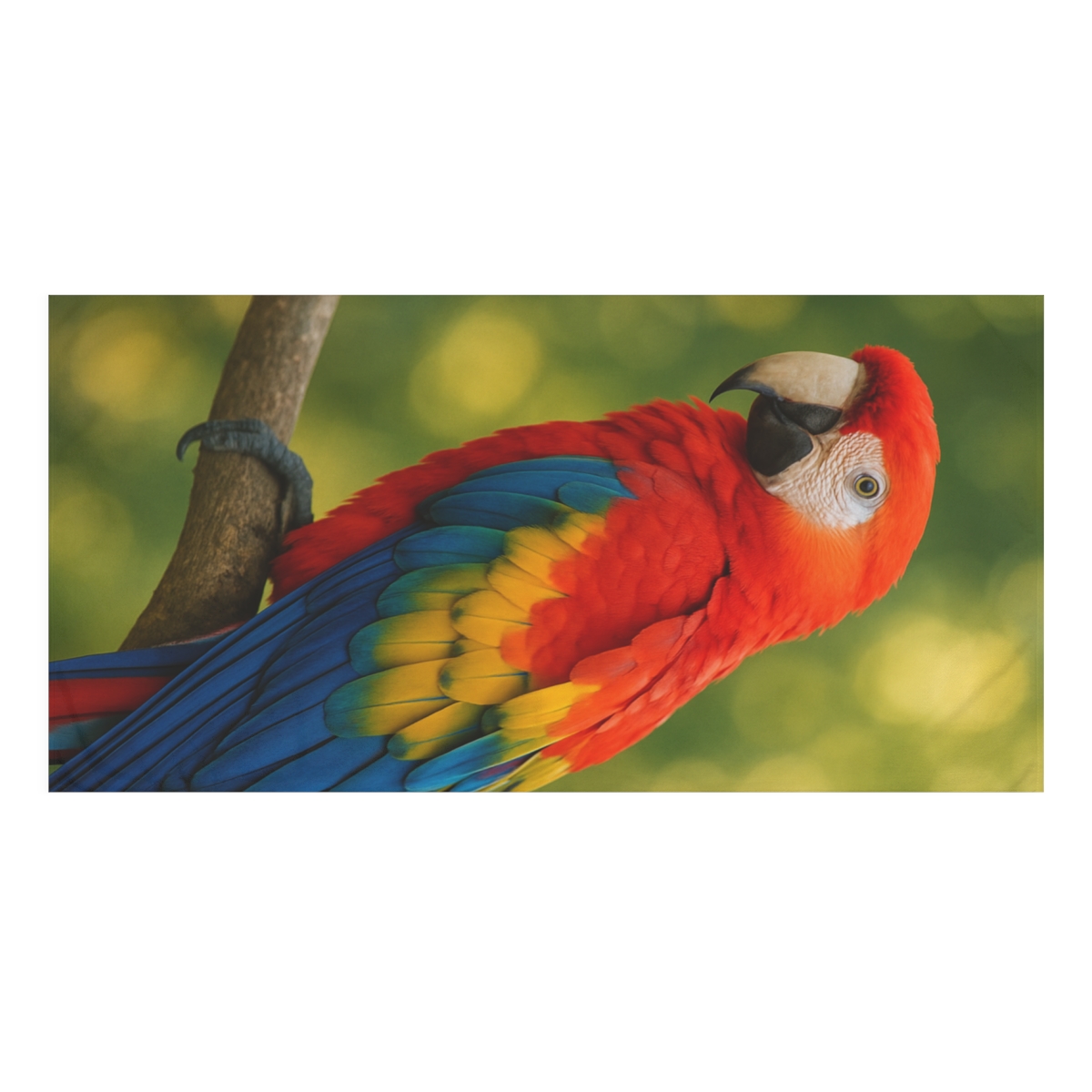 Canopy Flame Scarlet Macaw unique gift towels