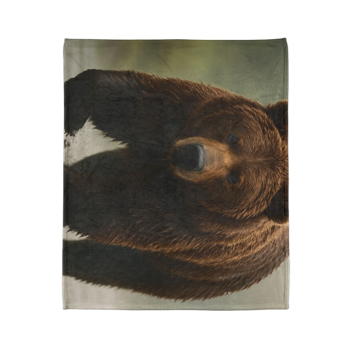 River King Grizzly Bear warm winter blankets