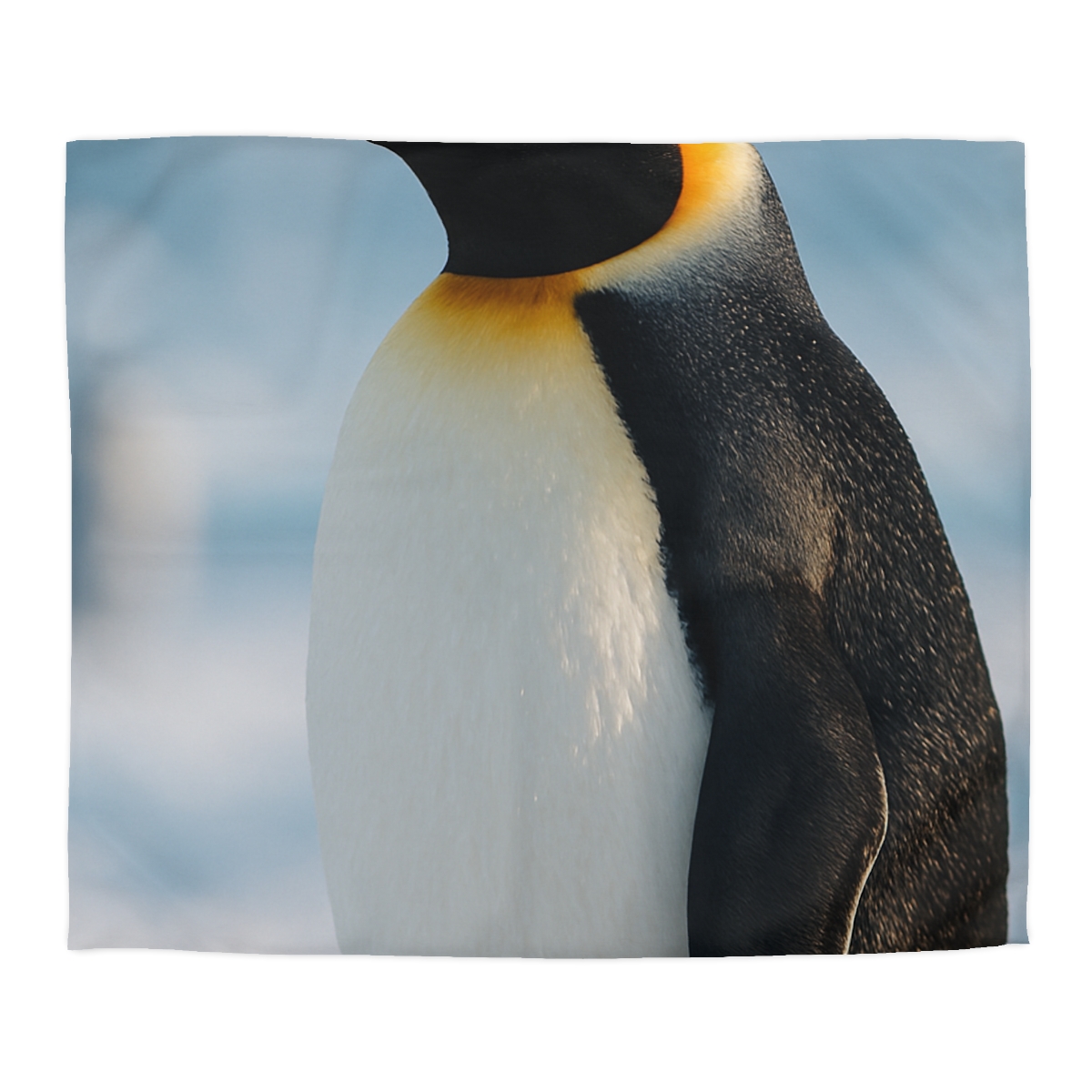 Emperor Penguin Polar Procession warm winter duvets