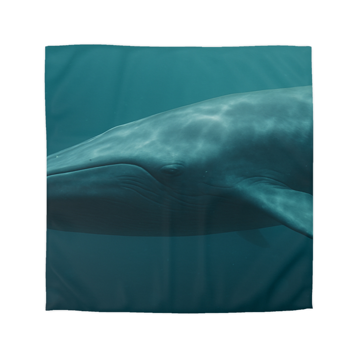 Ocean Song Blue Whale stylish duvet covers