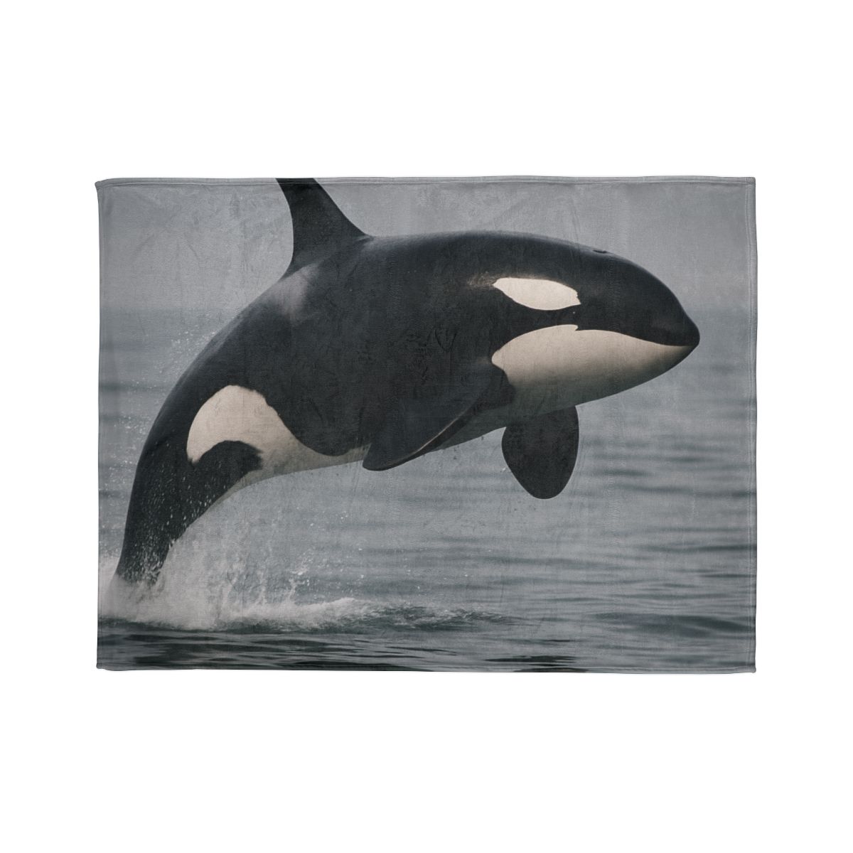 Tidal Monarch Orca warm winter blankets