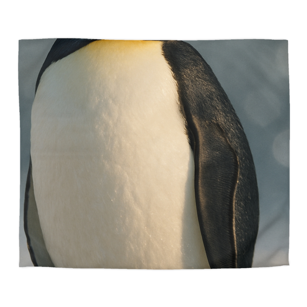 Velvet Eclipse Emperor Penguin trendy bedroom duvets
