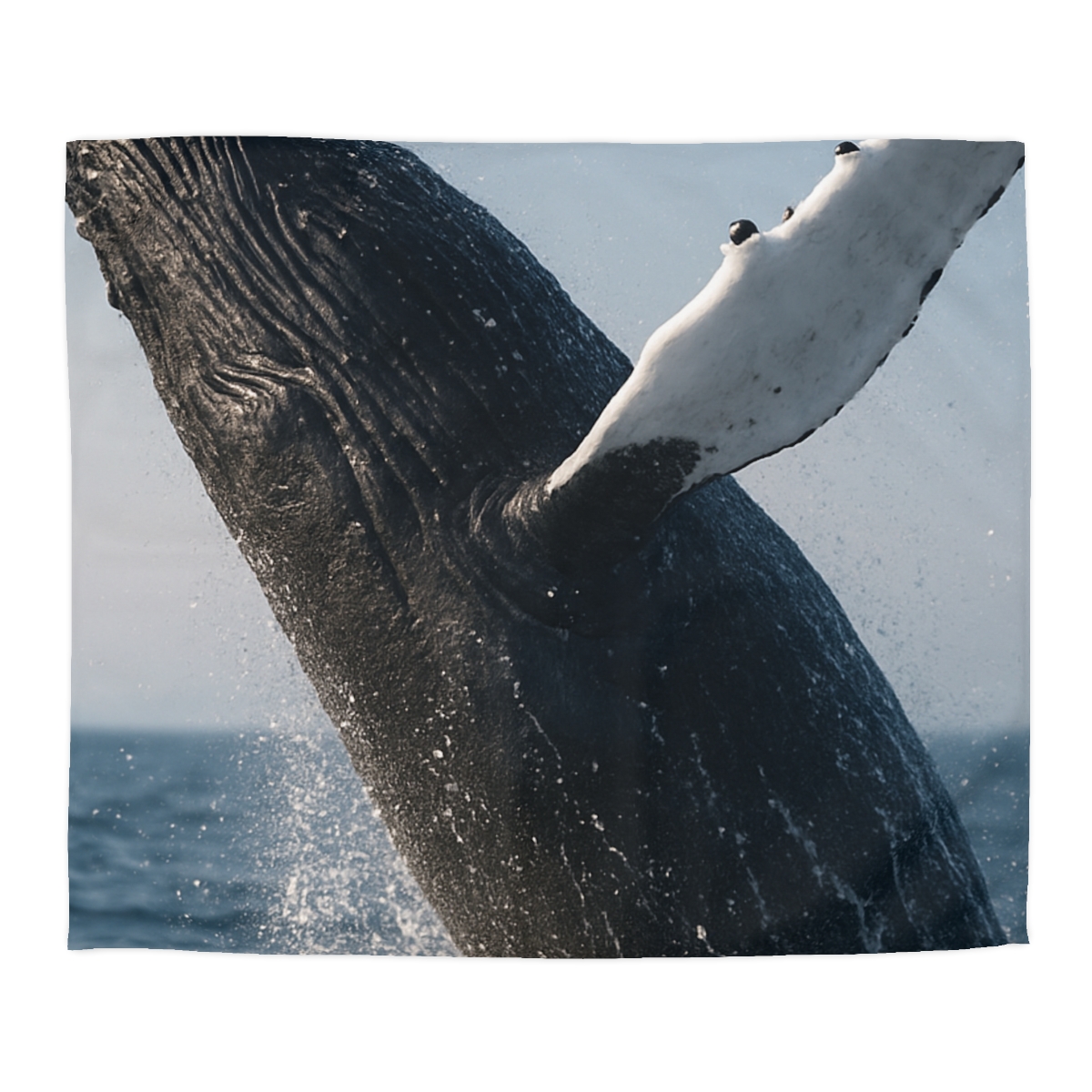 Tidal Song Humpback Whale trendy bedroom duvets