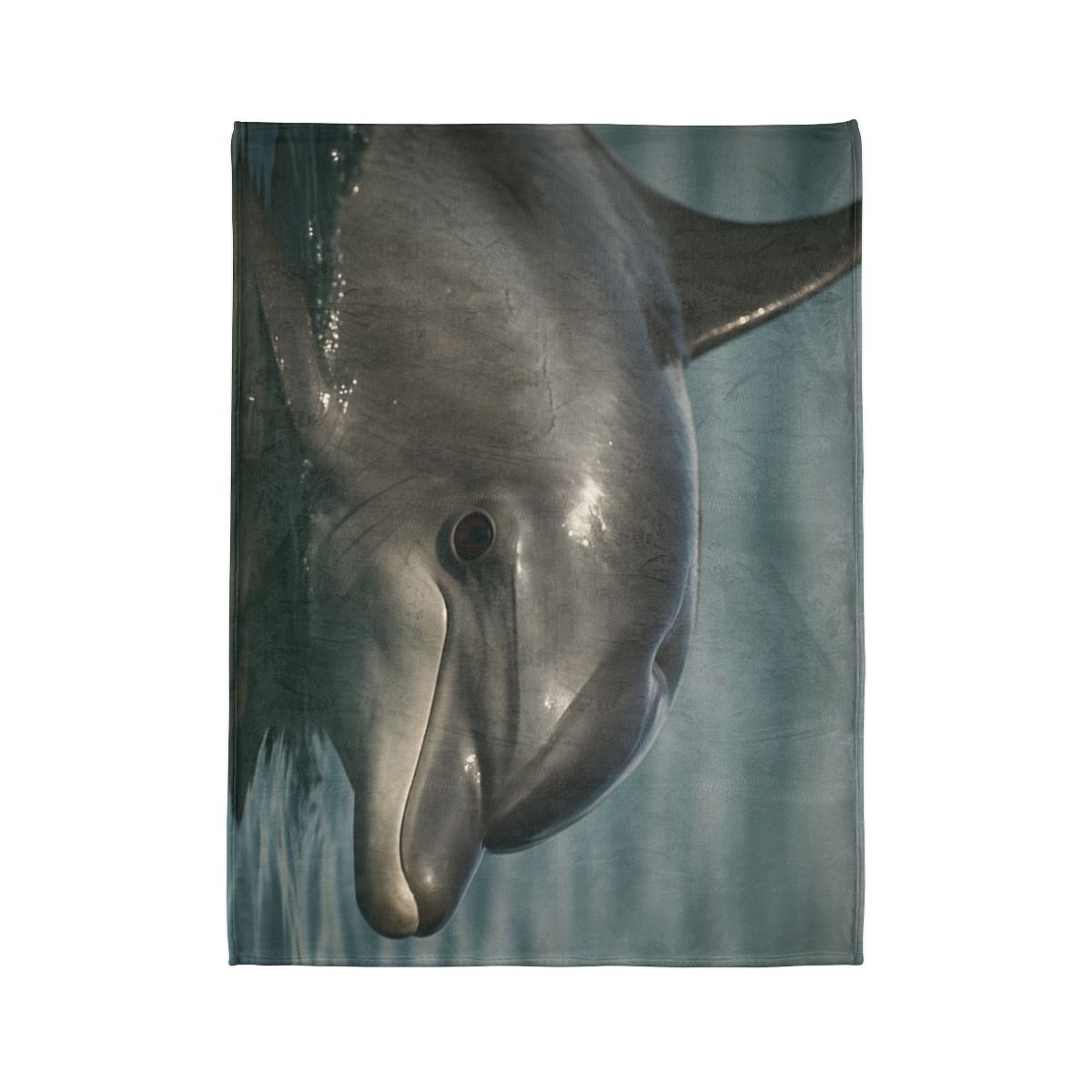 Mirror Calm Bottlenose Dolphin designer printed blankets