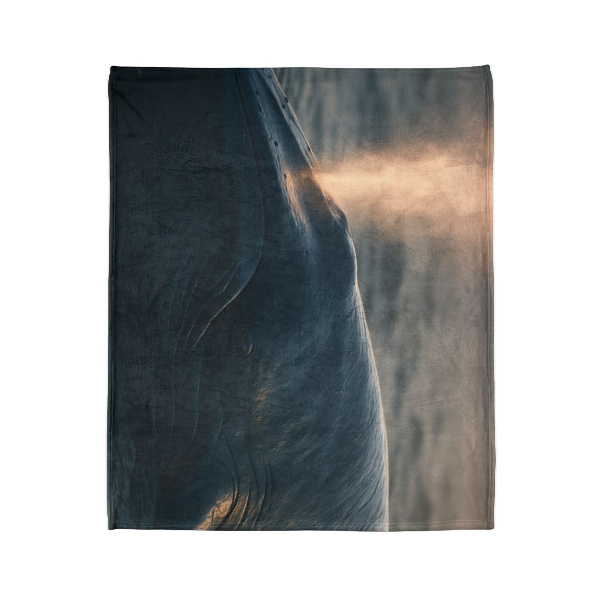 Ocean Song Blue Whale unique gift blankets