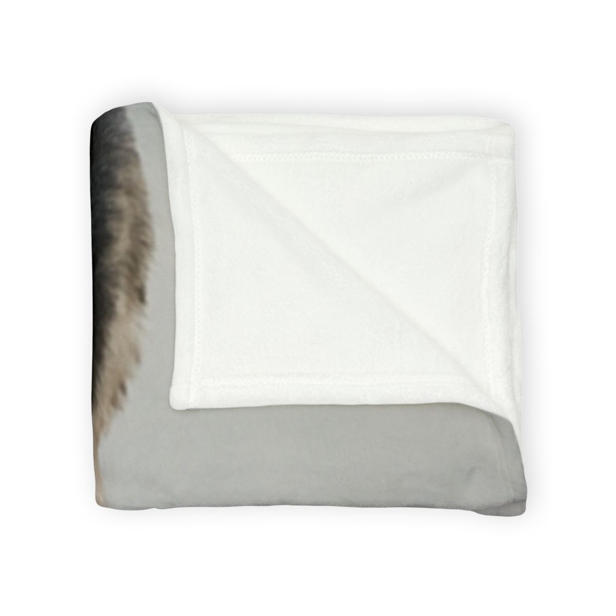 Starlit Focus Peregrine Falcon soft fleece blankets