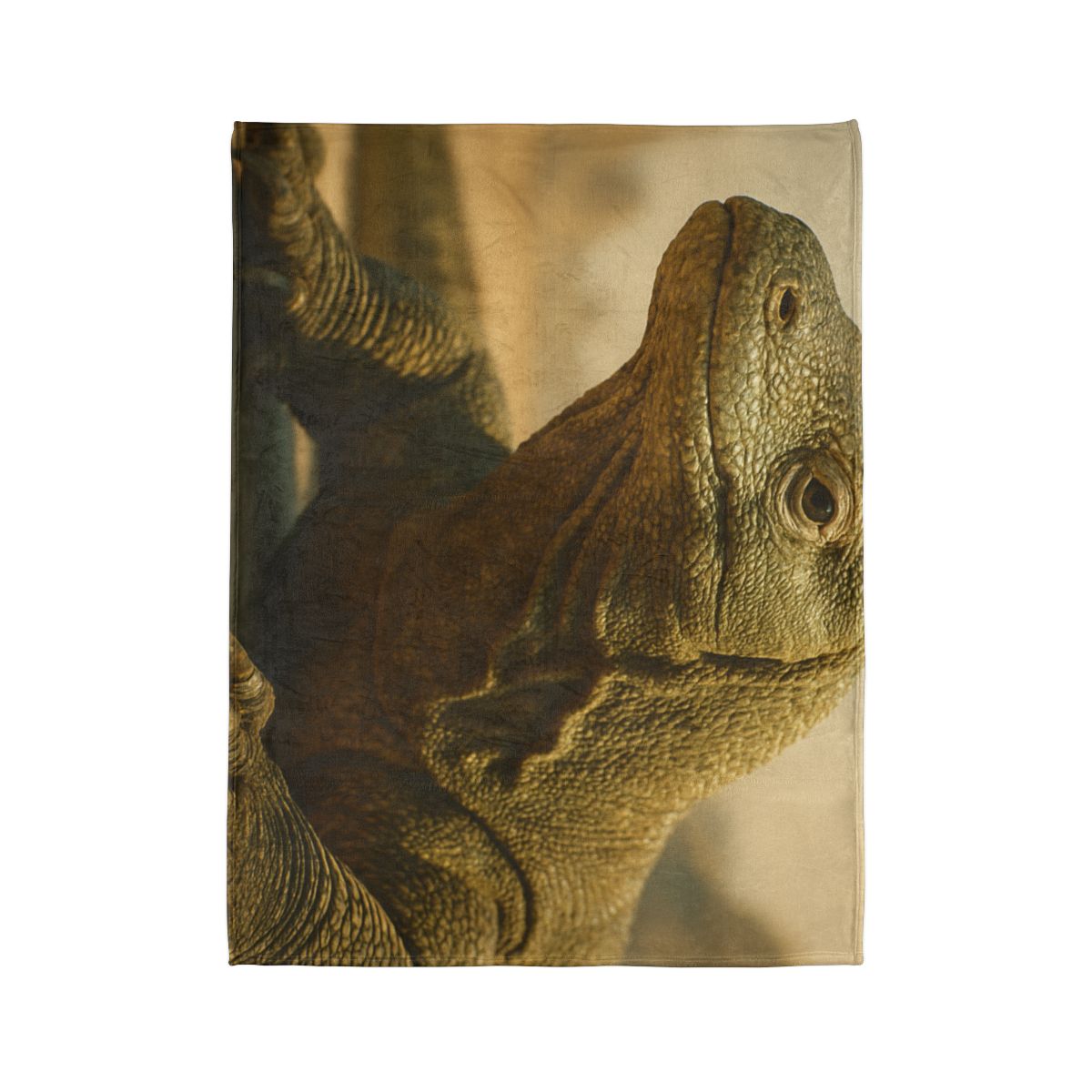 Ancient Sentinel Komodo Dragon decorative home blankets