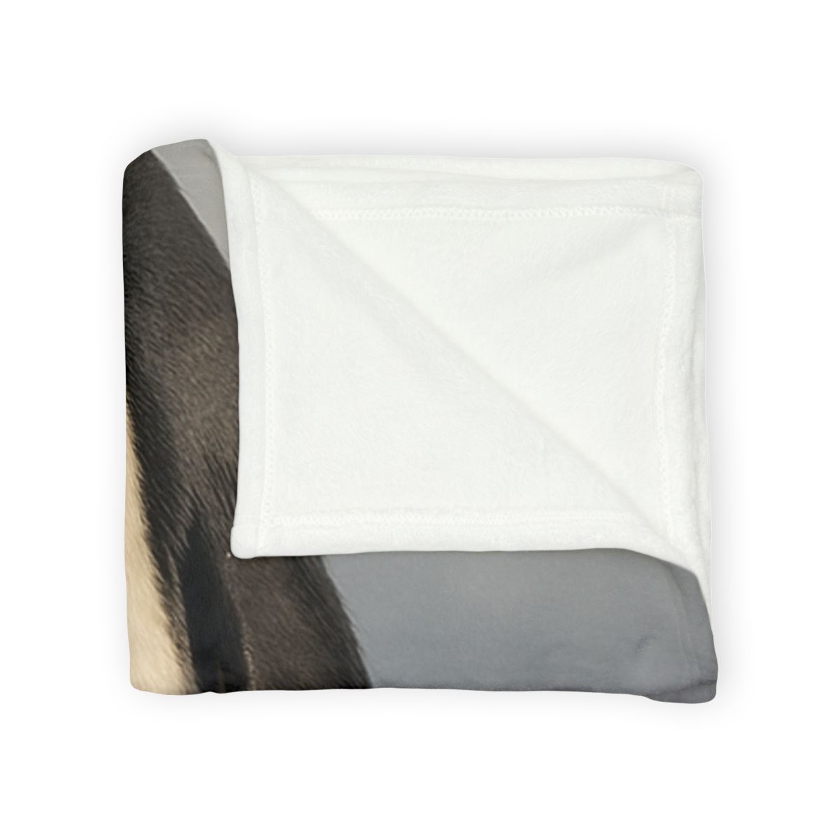 Frost Halo Emperor Penguin trendy patterned blankets