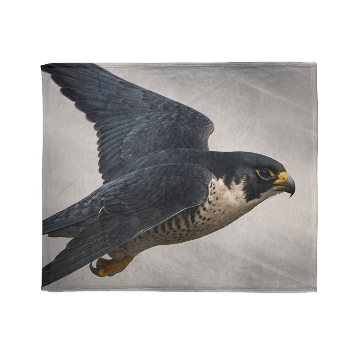 Stormglide Peregrine Falcon unique gift blanketscustom blankets