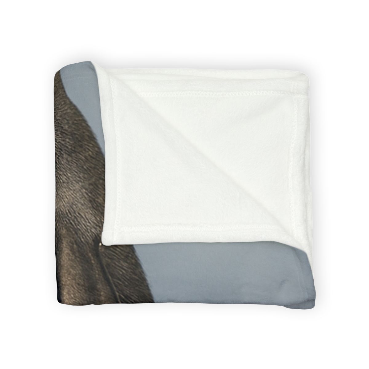 Aurora Poise Emperor Penguin unique gift blanketscustom blankets